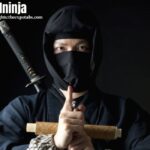 lwedninja