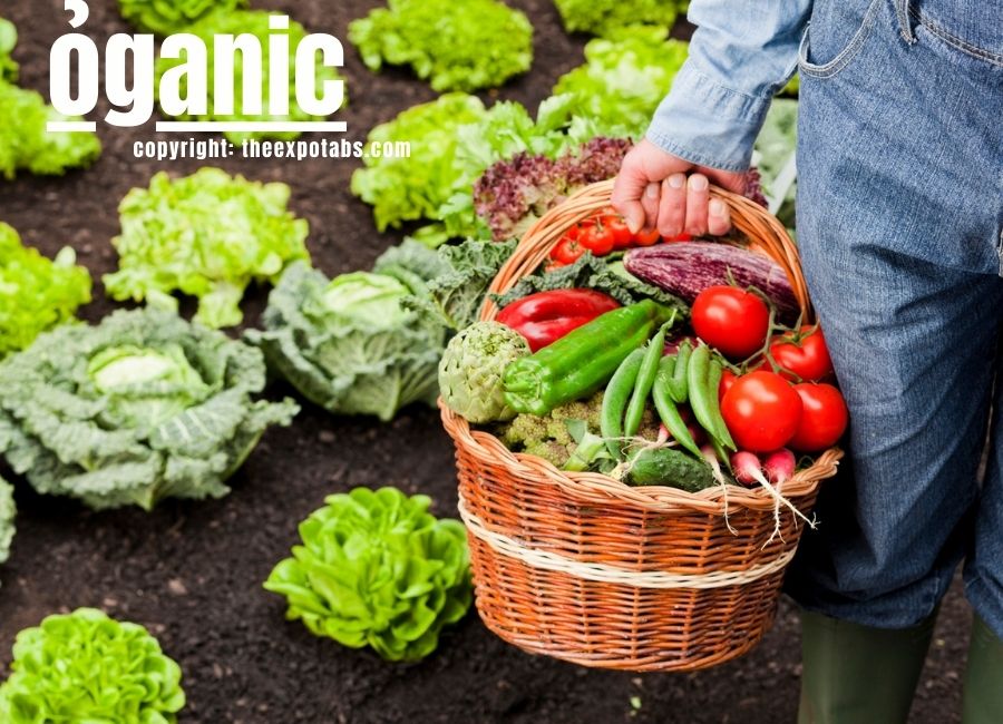 Why ỏganic Is the Best Choice for Your Health and Life