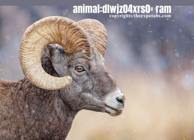 animal:dlwjz04xrs0= ram