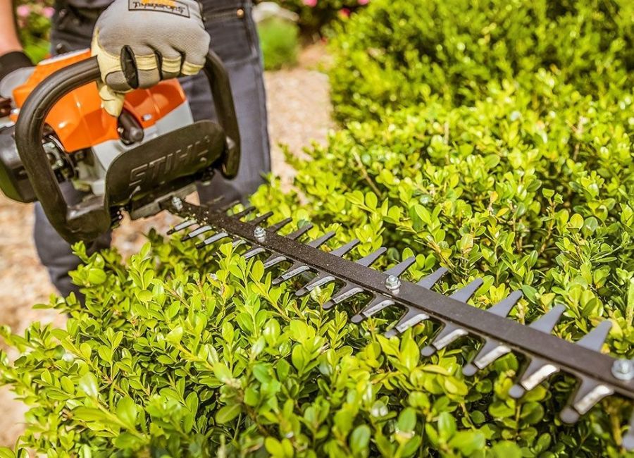 Importance of a Hedge Trimmer Motor